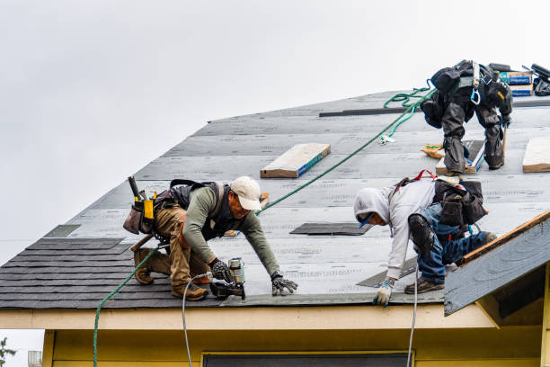 Professional Roofing technician working in Holmesville, OH